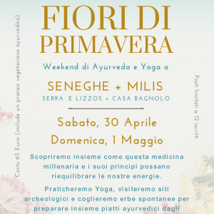 Scopriamo i segreti della medicina Ayurverda con Y&N (30/04-01/05)